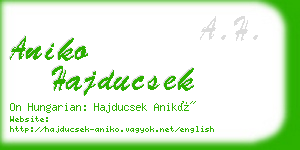 aniko hajducsek business card